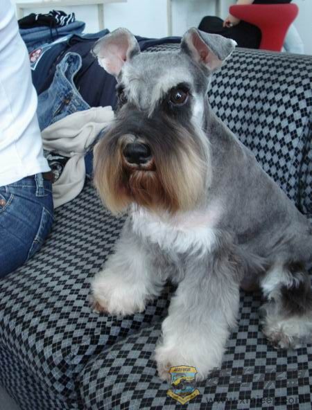 ��ת ������С DSC01456.JPG