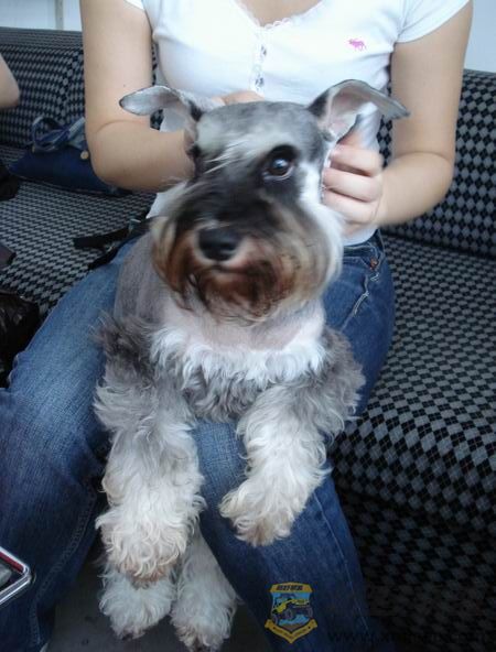 ��ת ������С DSC01450.JPG