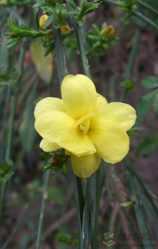 DSCF0191a ����.jpg