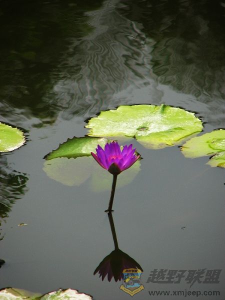 ������ 021Ů��.jpg