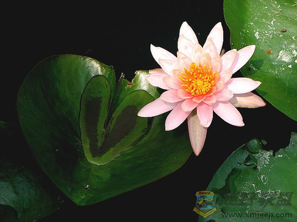 ������ 041Ů��.jpg