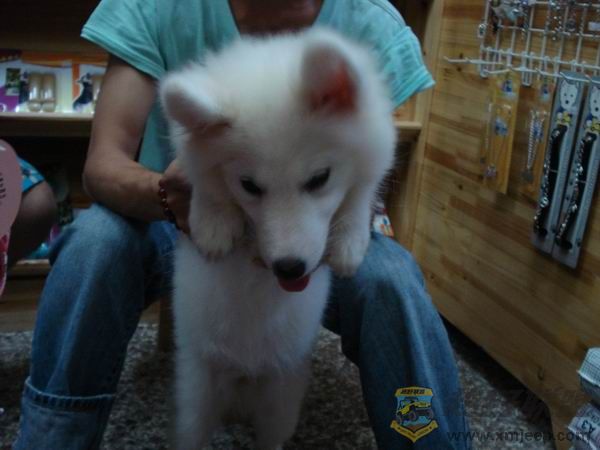 ������С DSC01648.JPG