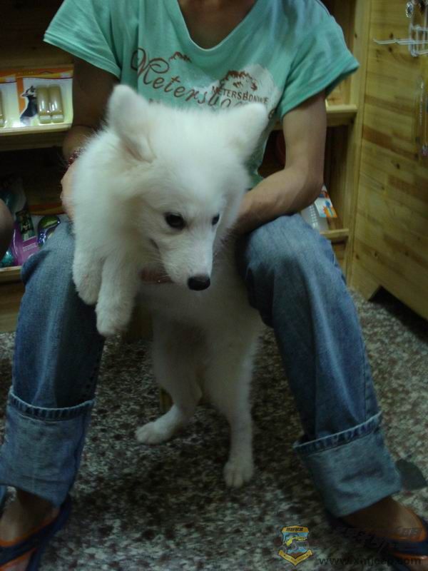 ������С ��ת DSC01649.JPG