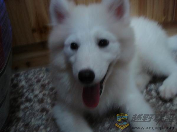 ������С DSC01651.JPG