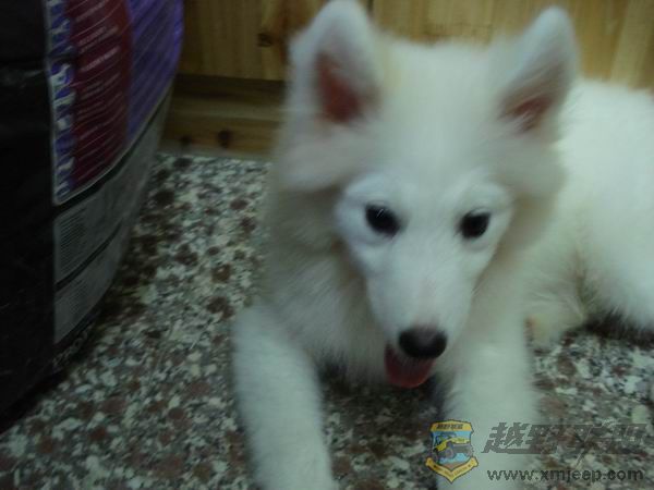 ������С DSC01652.JPG