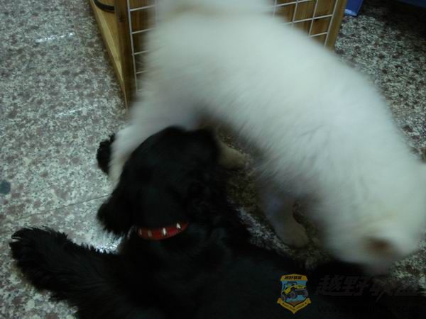 ������С DSC01653.JPG