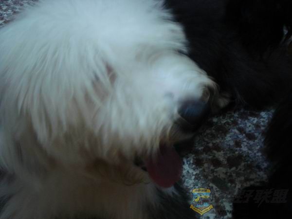 ������С DSC01659.JPG