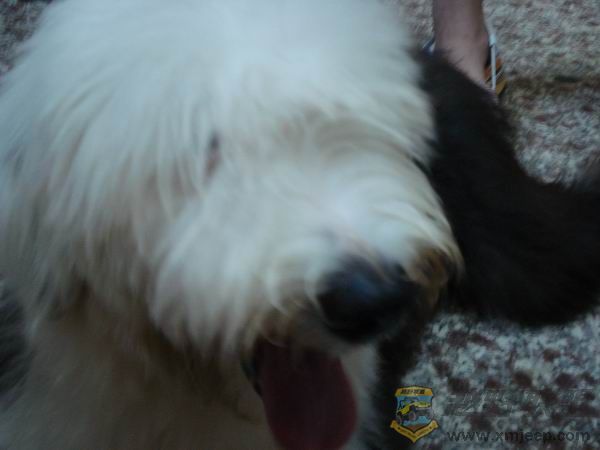 ������С DSC01660.JPG