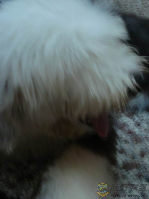 ������С ��ת DSC01663.JPG