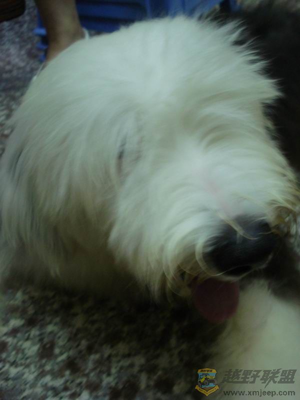 ������С ��ת DSC01665.JPG