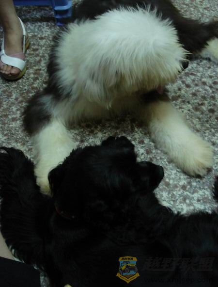 ��ת ������С DSC01664.JPG