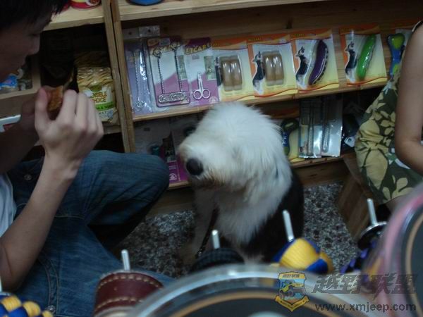 ������С DSC01666.JPG