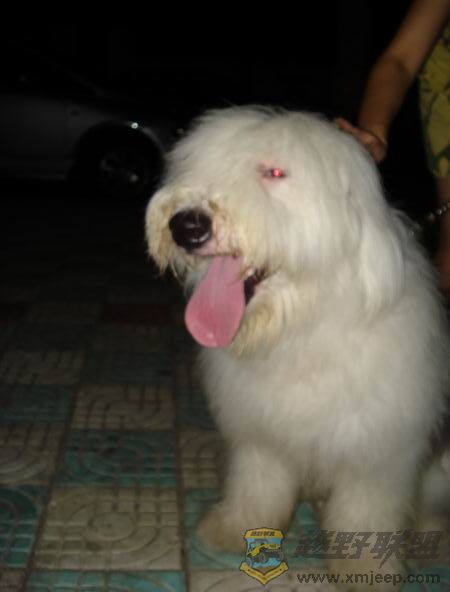 ��ת ������С DSC01673.JPG