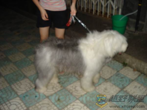 ������С DSC01671.JPG