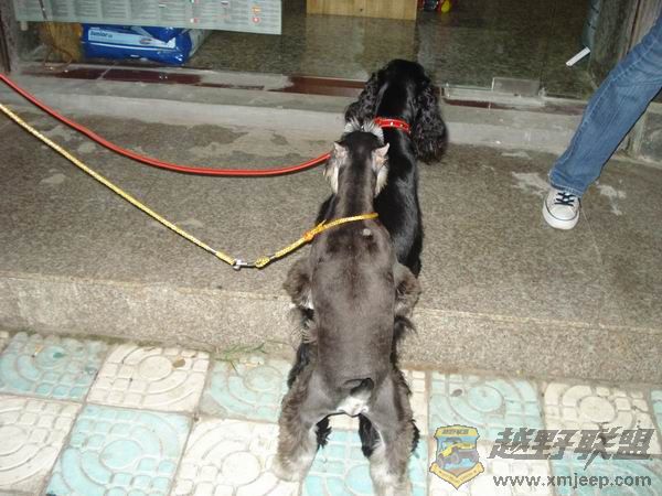 ������С DSC01675.JPG