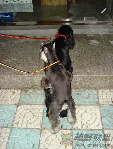 ��ת ������С DSC01676.JPG