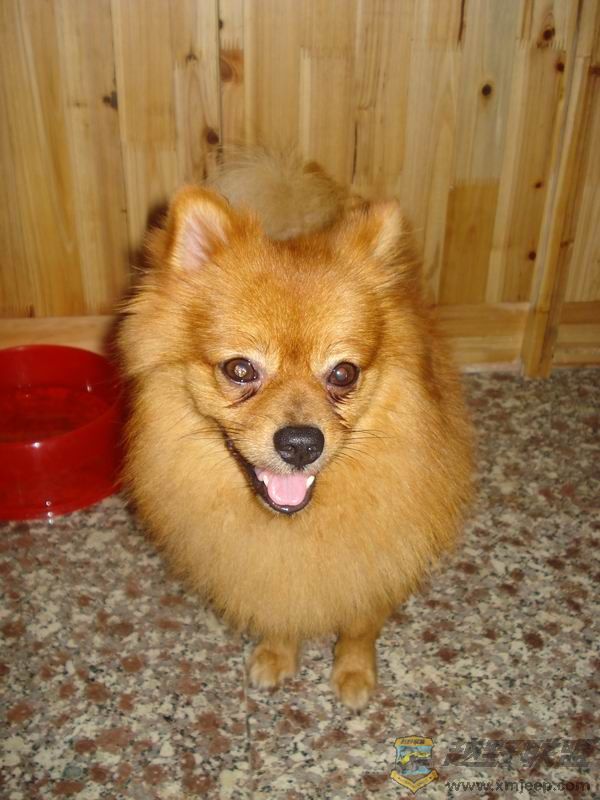 ������С ��ת DSC01679.JPG