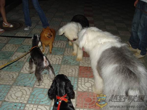 ������С DSC01680.JPG