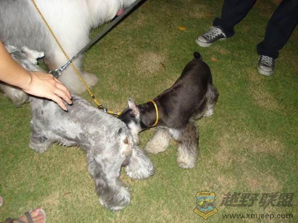 ������С DSC01683.JPG