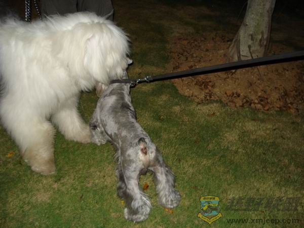 ������С DSC01682.JPG