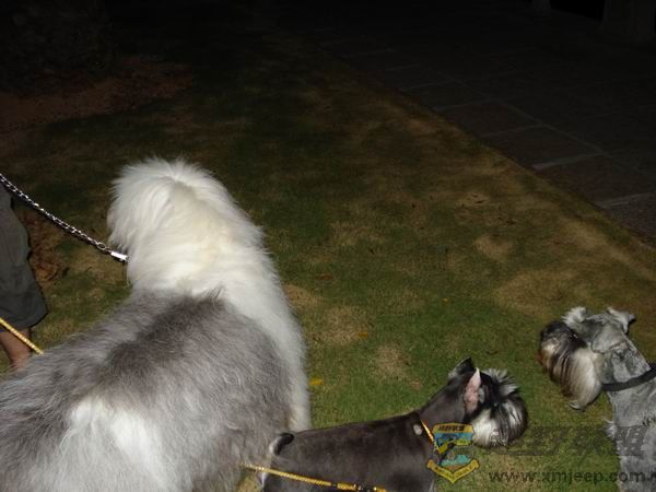 ������С DSC01685.JPG