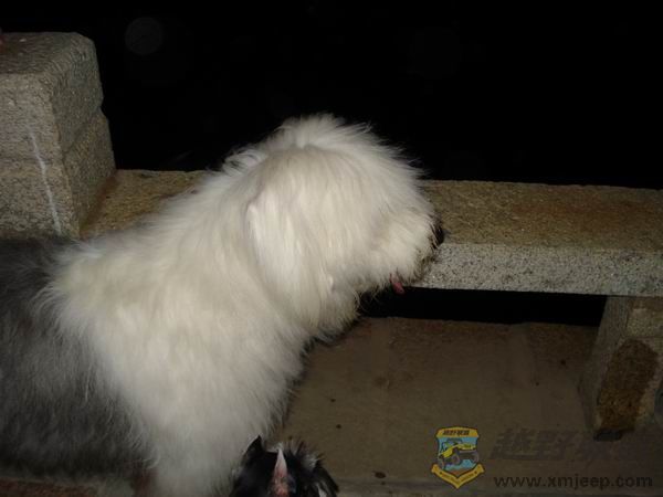 ������С DSC01689.JPG