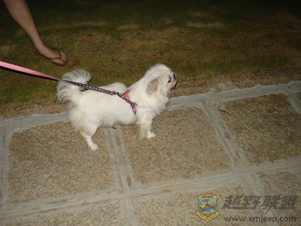 ������С DSC01691.JPG