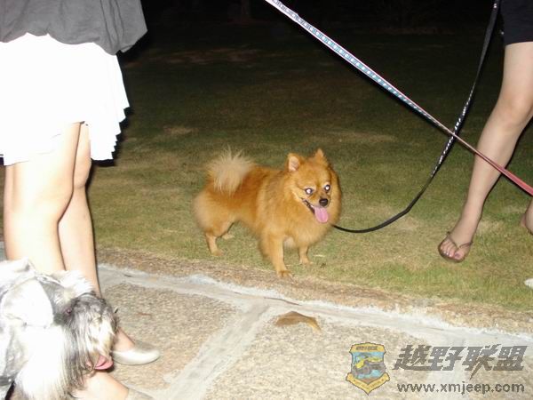 ������С DSC01692.JPG