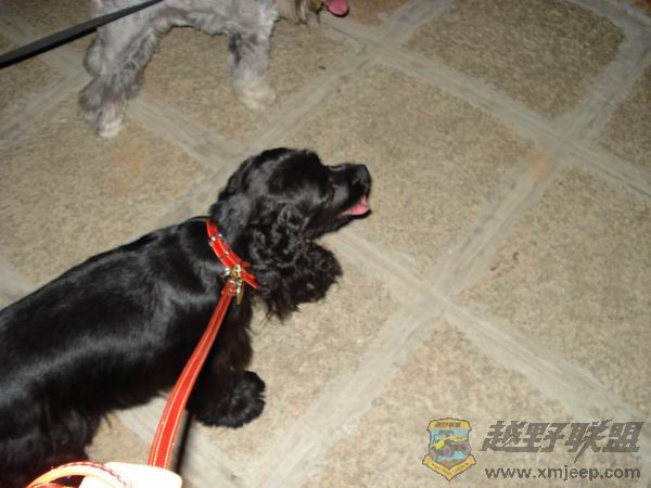 ������С DSC01693.JPG