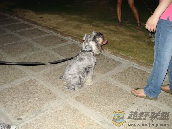 ������С DSC01694.JPG