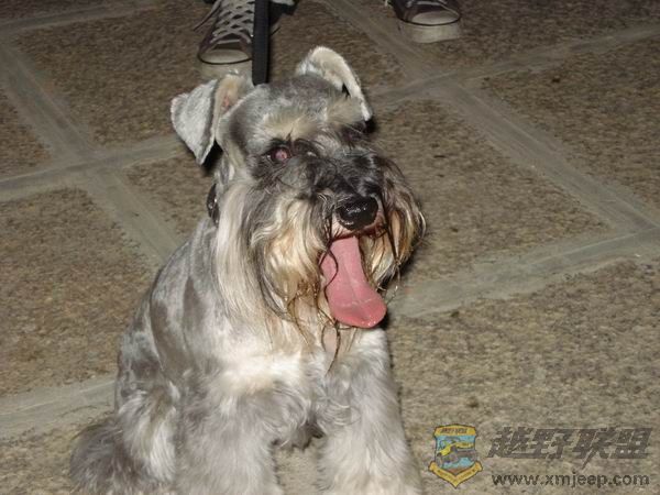 ������С DSC01697.JPG