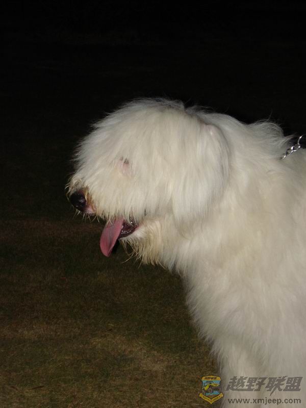 ������С ��ת DSC01698.JPG