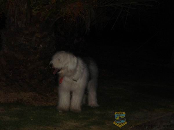 ������С DSC01699.JPG