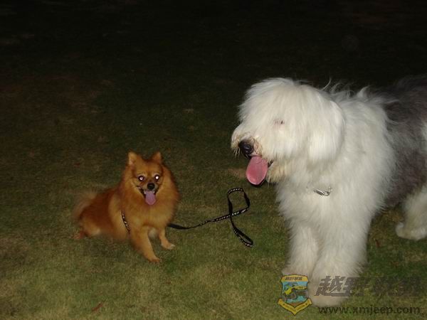 ������С DSC01702.JPG