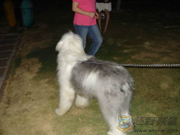 ������С DSC01708.JPG