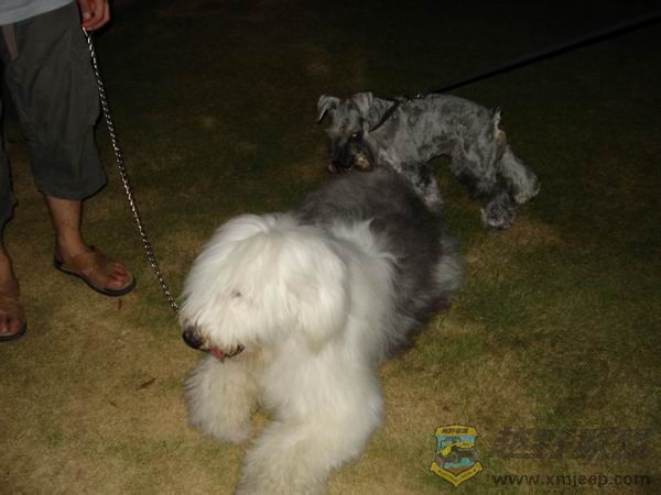 ������С DSC01714.JPG