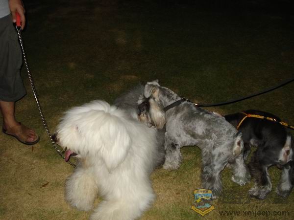 ������С DSC01715.JPG