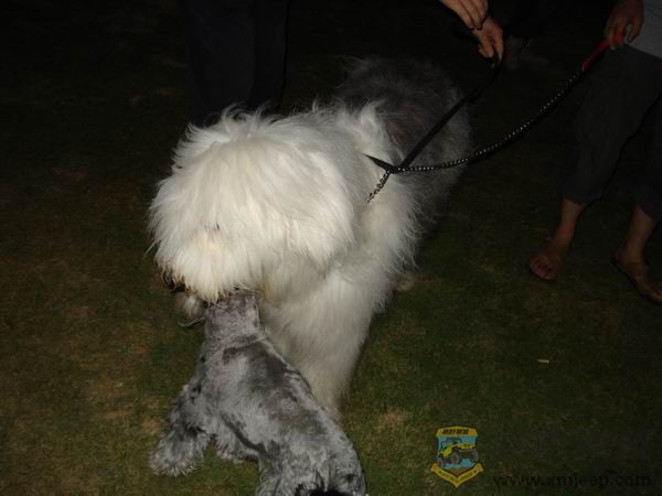 ������С DSC01722.JPG