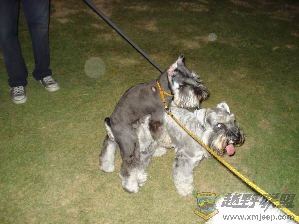 ������С DSC01723.JPG