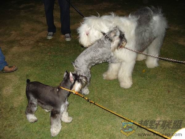 ������С DSC01724.JPG