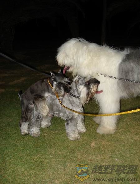 ��ת ������С DSC01726.JPG