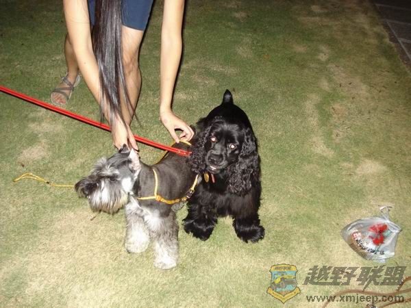 ������С DSC01731.JPG