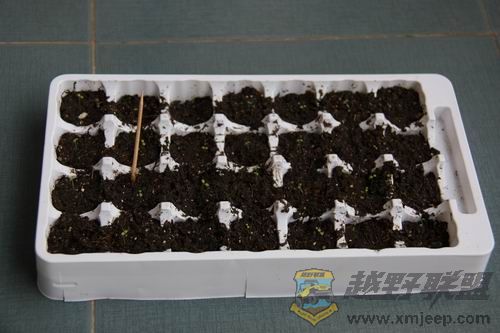 ������С IMG_0010.JPG