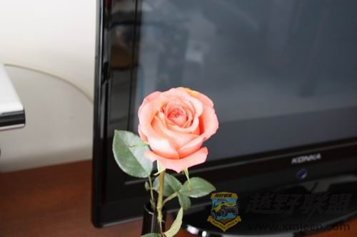 ������С IMG_0012.JPG