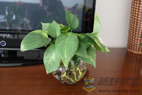 ������С IMG_0015.JPG