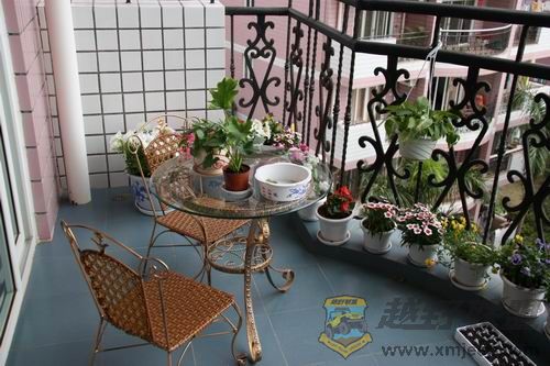 ������С IMG_0017.JPG