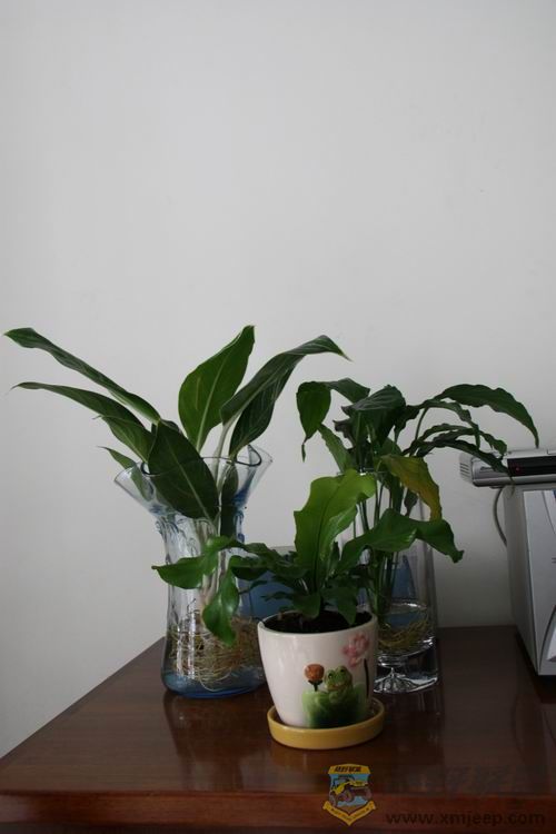 ������С ��ת IMG_0013.JPG