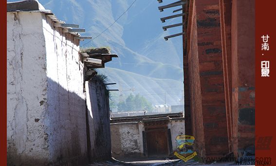 DSC_9819 ����.jpg