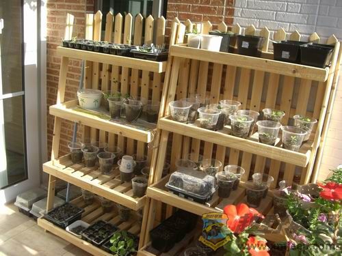 ������С CIMG4492.JPG