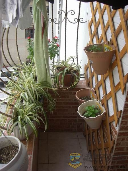 ������С ��ת CIMG4458.JPG